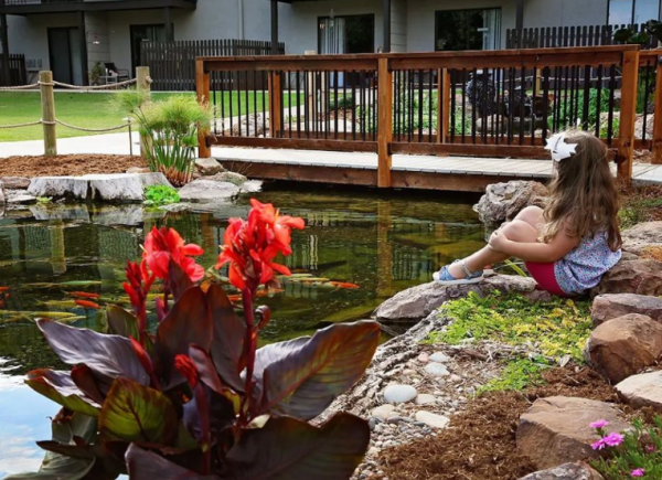 Taman rakyat dengan kolam ikan dan teras kayu